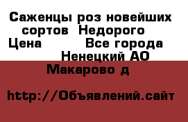 Саженцы роз новейших сортов. Недорого. › Цена ­ 350 - Все города  »    . Ненецкий АО,Макарово д.